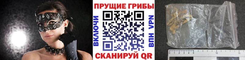это официальный сайт  Златоуст  Галлюциногенные грибы Cubensis 